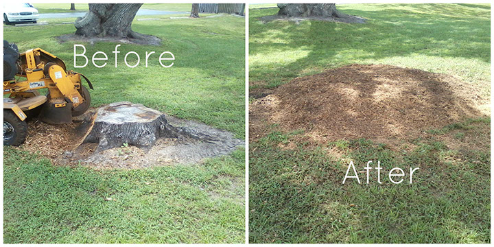 stump grinding gulfport Gulf Coast Tree Service