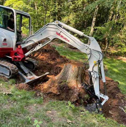 removing a stump